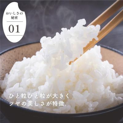 ふるさと納税 大町町 【先行予約】令和7年産 さがびより 5kg(大町町)【29kg-0001】 |  | 02