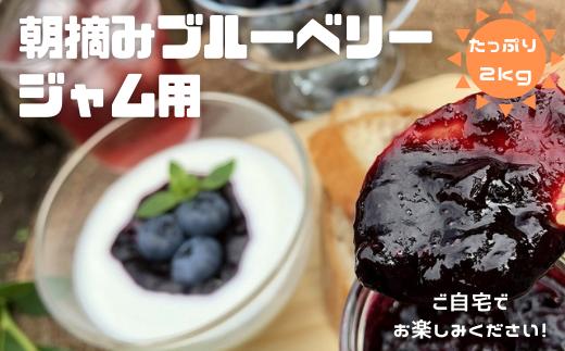 
            朝摘みブルーベリー　ジャム用（ご自宅用）　５００ｇ×４パック　計２ｋｇ　［YU-103］
          