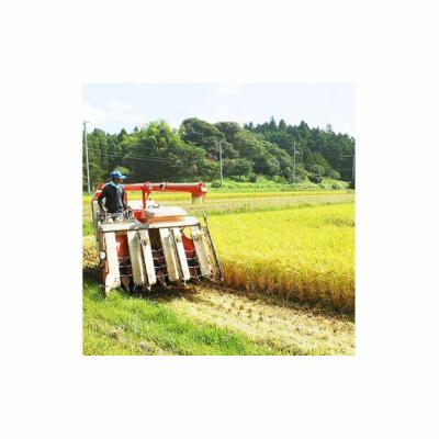 ふるさと納税 出雲市 【ふるさと納税】お米　令和7年産　出雲きぬむすめ5kg×3袋 |  | 03