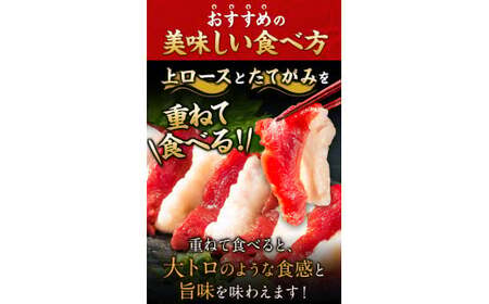 馬刺し 国産上ロース50g×7+たてがみ50g 計400g 馬刺し