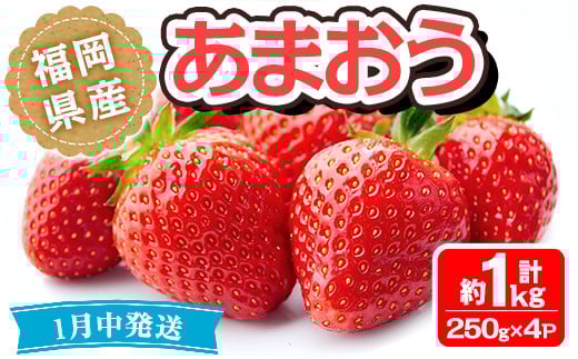 
            ＜先行予約受付中！2026年1月より順次発送予定＞福岡県産 あまおう(計約1kg・250g×4P)いちご 苺 フルーツ 果物 くだもの 冷蔵 ＜離島配送不可＞【ksg1490】【エフビーネット】
          