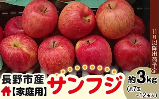 
            長野市産 サンふじ 家庭用 約3kg【2025年11月下旬以降出荷予定】(さらしな青果) リンゴ りんご サンフジ 訳あり 信州 3キロ J1005
          