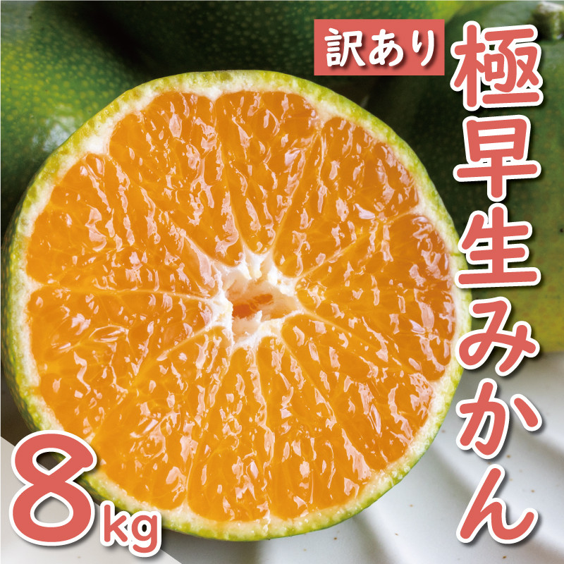 
先行予約 訳あり 極早生 温州みかん 8kg 10000円 愛媛 みかん こたつ みかん 家庭用 産地直送 国産 農家直送 糖度 果樹園 期間限定 数量限定 特産品 ゼリー ジュース アイス 人気 限定 甘い 果実 果肉 フルーツ 果物 柑橘 蜜柑 先行 事前 予約 受付 ビタミン 健康 美容 美味しい ジューシー 規格外 サイズ ミックス 愛南町 愛媛県 ミッチーのおみかん畑
