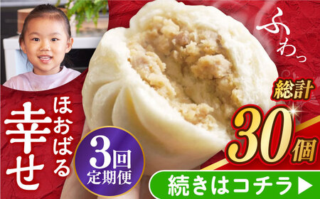 【3回定期便】【簡易包装】三代目長崎肉まん10個（5個×2袋）岩崎本舗 [EAB054] 肉まん にくまん 定期 定期便