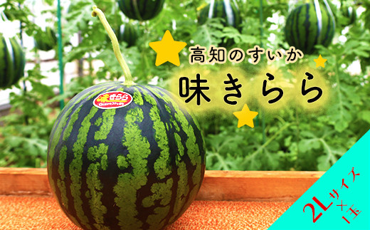
            ★5月初旬まで！★すいか（味きらら）1玉　２Lサイズ
          