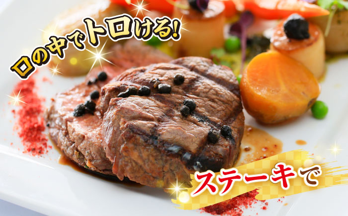 【全2回定期便】【A4〜A5ランク】長崎和牛 ヒレステーキ　450g（150g×3枚）《壱岐市》【株式会社MEAT PLUS】肉 牛肉 和牛  ヒレ フィレ ヘレ ご褒美 ギフト 贈答用 ご褒美 冷凍