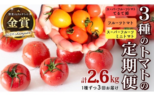 
                  《 2027年 収穫分 》全3回 定期便 フルーツトマト 3種 食べ比べ (毎月1品種) 3ヶ月 KEK 国産 先行予約 糖度9度以上 てるて姫 スーパーフルーツトマト フルーツトマト ブランドトマト ミニトマト 野菜 ギフト 贈答 [BC091sa]
                