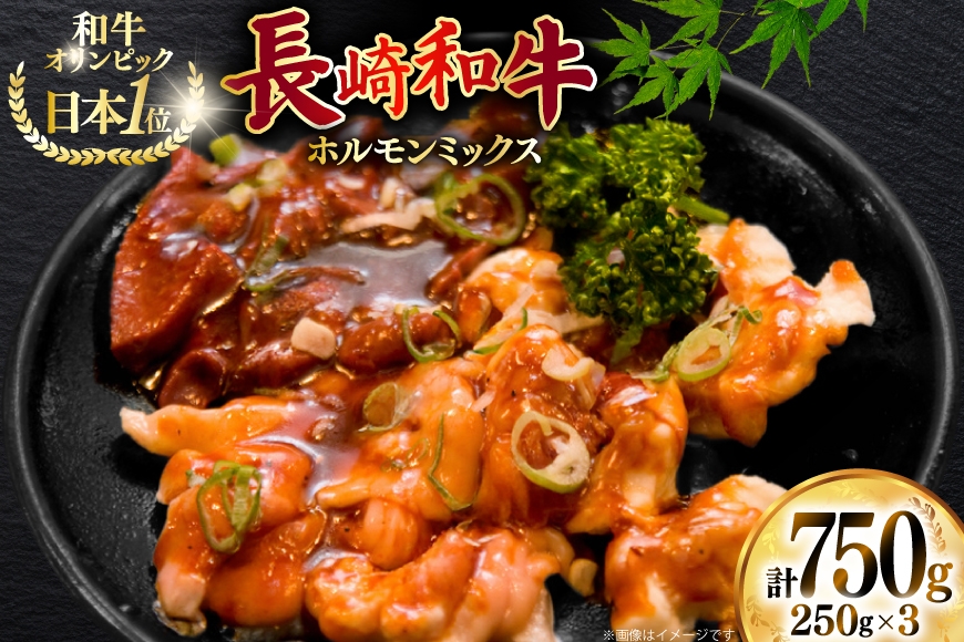 
                  牛肉 和牛 長崎和牛ホルモンミックス 750g (250g×3) [焼肉音琴 長崎県 東彼杵町 hs42bag520016]  ホルモン ほるもん 焼肉 焼き肉 やきにく
                