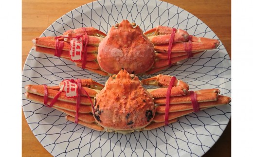 カニ 松葉ガニ ボイル 冷凍 カニ酢付き  2枚(約500g×2)