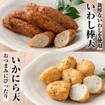 ふるさと納税 いちき串木野市 5種のさつま揚げを詰め込んだ”串木野セット2” |  | 03