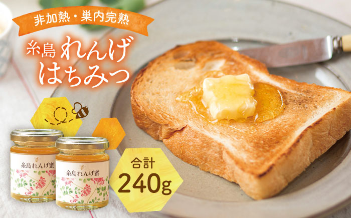 【 限定 100セット 】糸島 れんげはちみつ 120g×2　糸島市 / ヴァンベールフーズ [AFJ003]