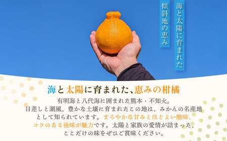 【先行予約】不知火 あーちゃん家の不知火 5kg 【2026年4月上旬～5月下旬発送予定】