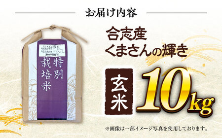 【令和7年度】 くまさんの輝き 玄米 10kg (1袋) 玄米[AYCC002]