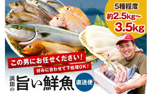 この男に任せてみませんか～浜田の旨い鮮魚直送便～ 海鮮 鮮魚 詰め合わせ セット おまかせ 人気 お取り寄せ 【006_0012】