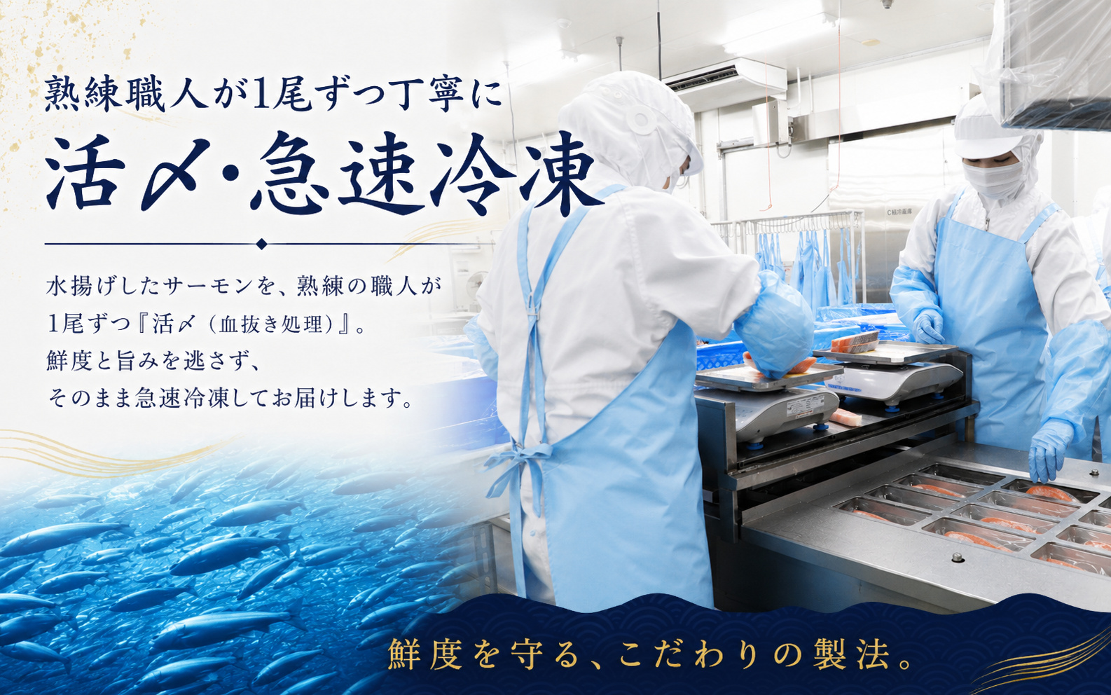 国産銀鮭「佐渡サーモン」塩鮭切身約1.5kg真空包装＜株式会社ニッスイサーモン＞定塩さけ