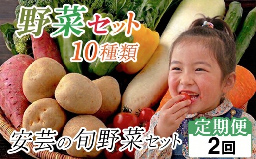 【定期便2回】 「安芸ブランド」新鮮お野菜詰め合わせセット 10種類 | 人気 野菜 詰合せ 詰め合わせ セット 新鮮野菜 詰め合わせセット 野菜セット 季節の野菜 地元産 お取り寄せ おすすめ じゃがいも ジャガイモ 玉ねぎ 人参 たまねぎ タマネギ にんじん トマト きゅうり なす 旬野菜 新鮮 お試し 詰め合わせ 2ヶ月連続 2ヶ月定期便 野菜定期便 安芸駅ぢばさん市場 高知県 安芸市