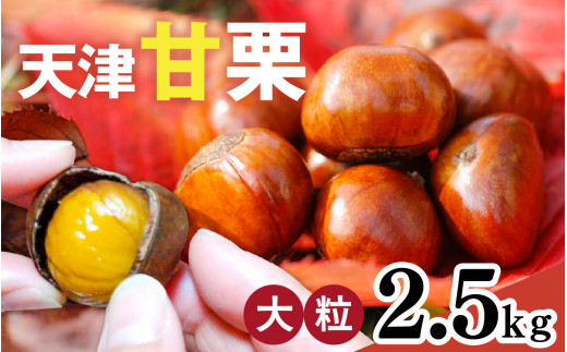 【レビューキャンペーン】【先行予約】 天津甘栗 2.5kg 【 2025年10月下旬より順次発送予定 】 ／ 焼きたて 栗 くり マロン 秋 おやつ 栗爪 殻付き お菓子 おつまみ 人気 高リピート 小分け 栗ご飯 栗きんとん 甘露煮 こだわり 手軽 おためし お試し