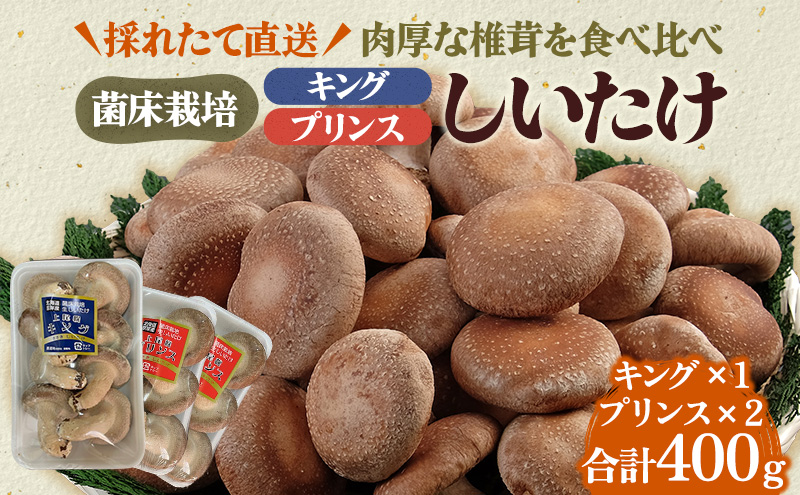北海道産 厚岸町 上尾幌 菌床栽培 キングしいたけ 1パック プリンスしいたけ 2パック