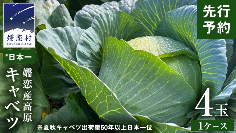 嬬恋キャベツ  嬬恋産 高原キャベツ4玉1ケース 旬の野菜 きゃべつ 産地直送 群馬 お取り寄せ 野菜 セット Lサイズ ZIP! [AS002tu]