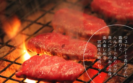 【AP-15】宮崎牛！霜降りと赤身の焼肉セット(合計900g・ウデ焼肉カット500g、宮崎牛モモ焼肉カット400g)【日向屋】