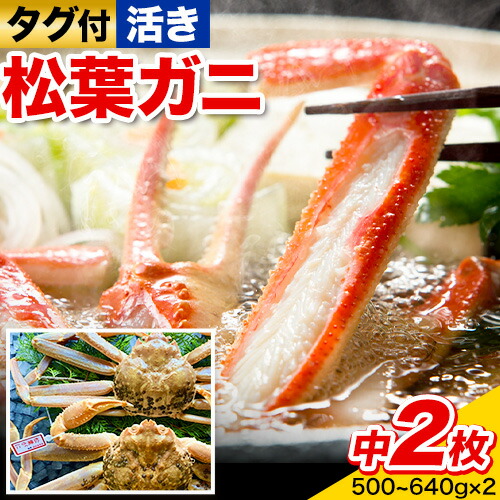【活き】タグ付き松葉ガニ 中2枚(1枚500～640g) 高間商店《2026年11月中旬-2027年3月下旬頃出荷》鳥取県 八頭町 送料無料 カニ 蟹　かに 松葉ガニ タグ付き ブランド　国産　ふるさと納税
