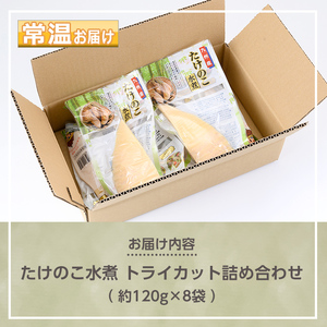 s555 たけのこ水煮 トライカット詰め合わせ(計960g・120g×8袋) 鹿児島 国産 タケノコ 竹の子 水煮 野菜 カット パック 煮物 炊き込みご飯【北薩農産加工場】