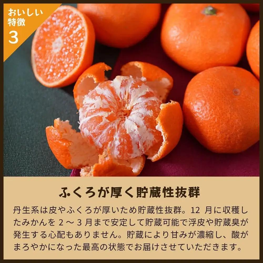蔵出しみかん丹生系　5kg家庭用｜和歌山県海南市下津町の特産品蔵出しみかんの最高級品種を産地直送でお届け【2027年2月発送開始】