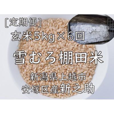 ふるさと納税 上越市 【毎月定期便】雪むろ棚田米-新之助5kg(5kg×1袋)玄米-新潟県上越市安塚区産-全6回