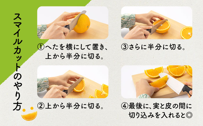 スイートスプリング 約10kg 長崎県産柑橘【田崎FARM】[OCU001] / 柑橘 スイートスプリング みかん 九州フルーツ 柑橘類 九州みかん ミカン 柑橘 九州みかん かんきつ すいーとすぷり