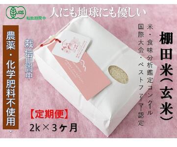 【2025年産新米】【定期便】魚沼コシヒカリ 苗場プリンセス・プレミアム 有機jaS認証米 玄米（2kg）×3回 合計6kg