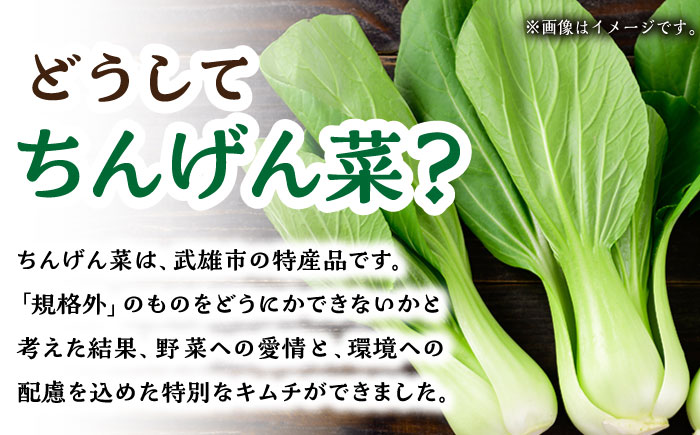 【12回定期便】ちんげん菜キムチ 2袋セット /おかわりのうえん [UDD008] 漬物 チンゲンサイ キムチ 野菜