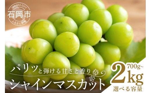 
            【 2025年 先行予約 】 シャインマスカット 700～800g 1.2kg 1.5kg 2kg 石田ぶどう園 1房 ～ 5房 種なし ぶどう ブドウ 国産 果物 くだもの 大粒 葡萄 種無し フルーツ 2キロ 9月 10月 発送 秋 旬 品種 茨城県産 産地直送 産直 農家直送 冷蔵 茨城県 石岡市 (muscat_ishida)
          