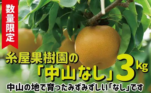 【数量限定・先行受付】糸屋果樹園の「中山なし」3kg 45P3404 /　梨 ナシ 和梨 幸水 豊水  果物 くだもの フルーツ 東北 秋田 大館 中山地区 中山なし 中山梨 なかやまなし【糸屋果樹園】