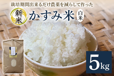 令和7年産新米 白米 5kg 栽培期間出来るだけ農薬を減らして作った「かすみ米」 茨城県産 コシヒカリ 米 お米 ご飯 ごはん 低農薬 しめじ菌床活用 甘み豊か 粘土質土壌育ち 健康志向 自然栽培 産地直送 贈答用 ギフト 茨城県 潮来市 (A03-007)