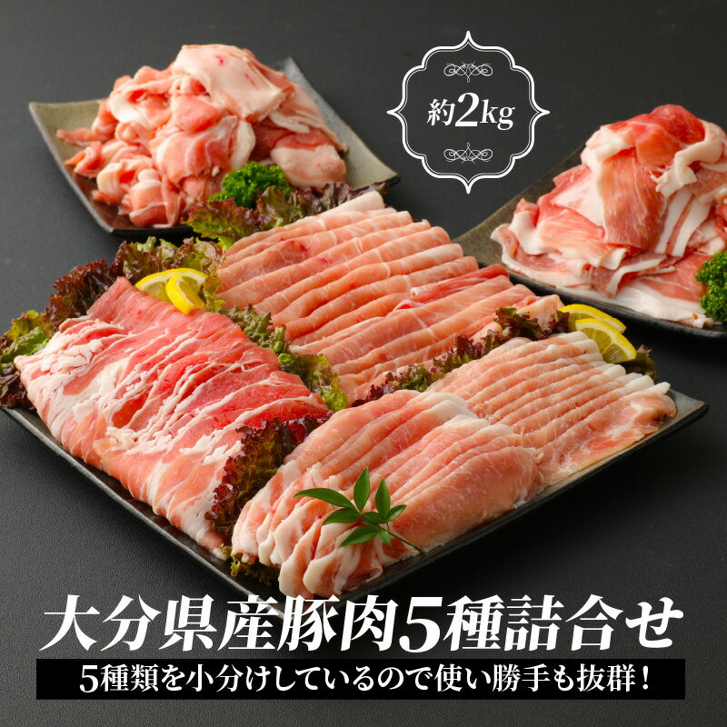 【ふるさと納税】普段使いに便利なパック分け！大分県産豚肉5種詰合せ 合計約2kg ぶた バラ モモ ウデ 冷凍 国産 普段使い 便利 小分け うす切り すきやき 生姜焼き お好み焼き スライス 国産 セット 詰め合わせ 多種 大容量 2000g