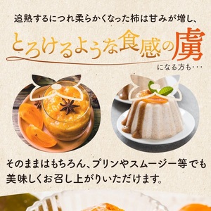 SA2739　庄内柿　約7.5kg(40玉入)　Mサイズ