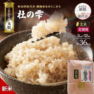 ふるさと納税 能代市 新米令和8年産 定期便 玄米 秋田県産 あきたこまち 3kg 全12回[No.5409-0036]