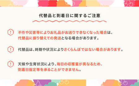 先行予約 2025年産 さくらんぼ 佐藤錦 L 秀 500g スリーブ箱  山形県産 フルーツ 果物 くだもの サクランボ sb-snslx500 ※沖縄・離島への配送不可