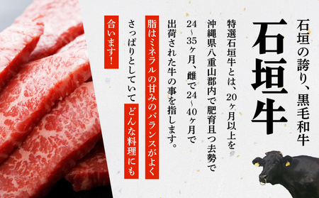 希少な特選石垣牛をご家庭で！！切り落とし焼き肉用とスライスの大満足食べ比べ 合計1.2kg &石垣牛 MARU秘伝の焼肉タレ100ml×1本 | 沖縄 石垣 特選 牛 切り落とし スライス 食べ比べ 