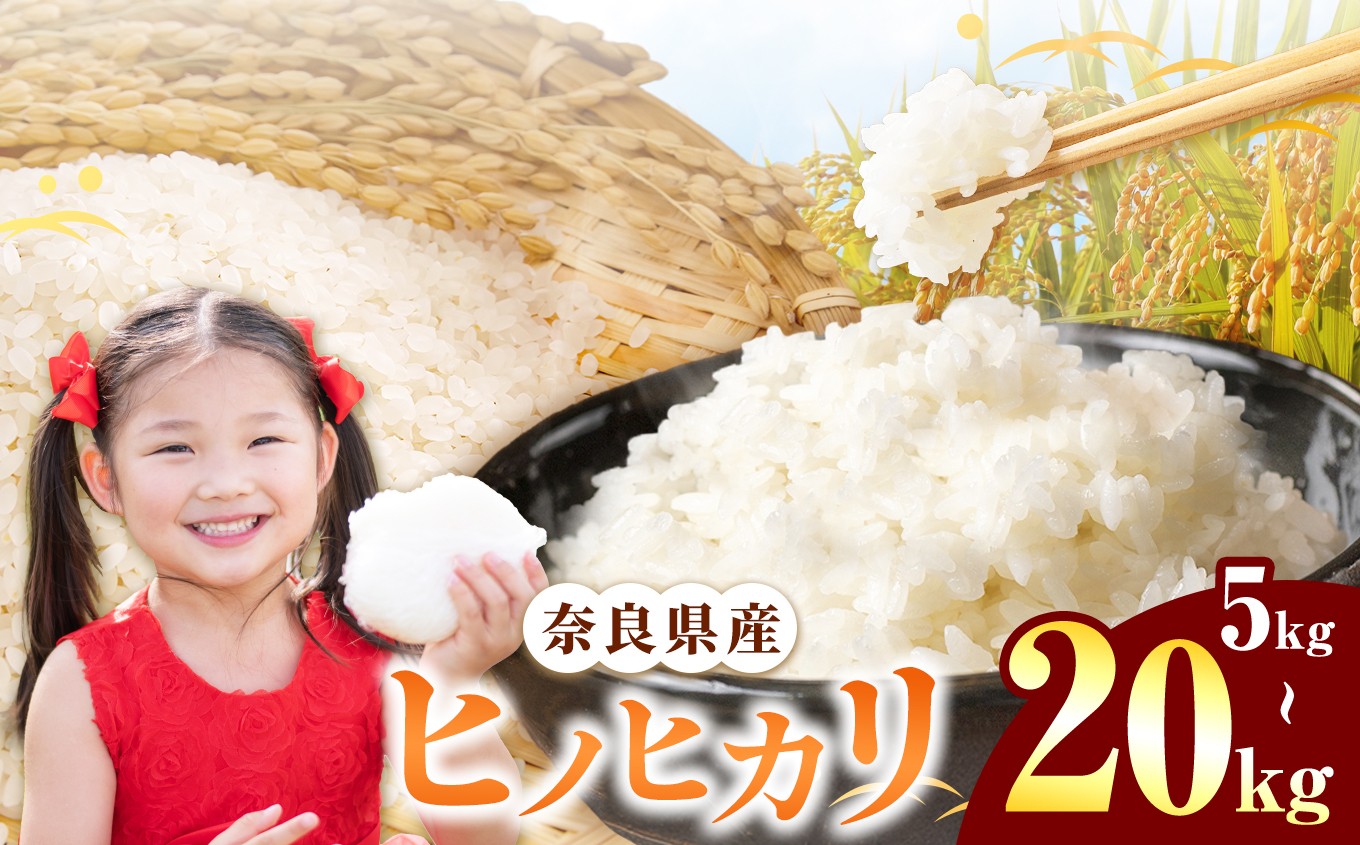 
                  【選べる内容量】令和7年産 ヒノヒカリ 精米 5kg～20kg 奈良県産 | 白米 米 お米 こめ コメ ライス ご飯 ごはん ヒノヒカリ おいしい 美味しい 粘り 甘味 贈り物 安心 安全 特産品 仕送り 全農パールライス株式会社 奈良支店 奈良県 平群町
                