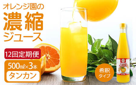 オレンジ園の濃縮ジュース タンカン 500ml 3本 12回定期便 希釈用 【J00119】