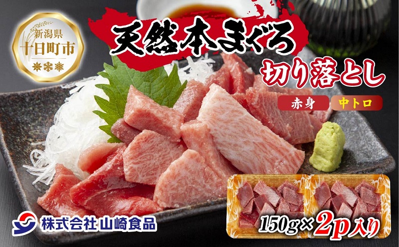 天然 本マグロ 切り落とし 赤身 中トロ 150g×2パック 計300g 本まぐろ クロマグロ 中とろ 冷凍 まぐろ 鮪 海鮮 刺身 海鮮丼 手巻き寿司 お取り寄せ グルメ 送料無料 新潟県 十日町市