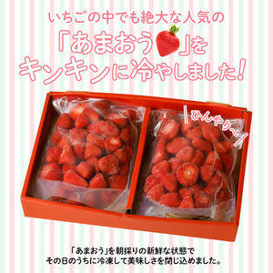 【2027年1月より順次発送】うるう農園の冷凍あまおう2kg_あまおう 2kg 冷凍 甘い 濃厚 新鮮 いちごの王様 うるう農園 いちご 果物 アレンジ おやつ フルーツ スイーツ スムージー ジャム