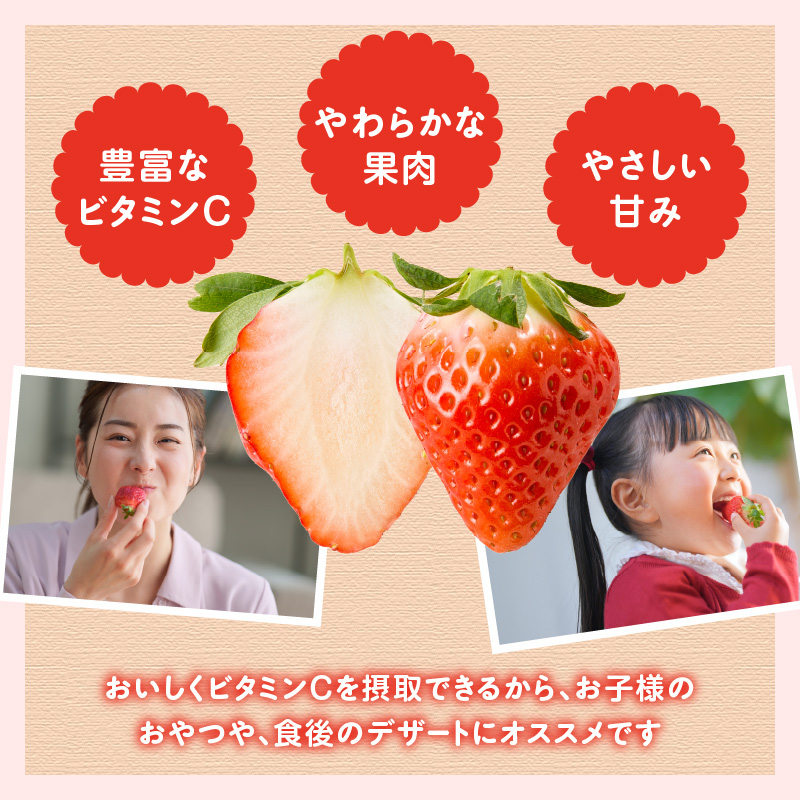 ★予約受付★平川いちご農園 佐賀県玄海町産いちご「さがほのかDX」2025年1月～4月順次配送