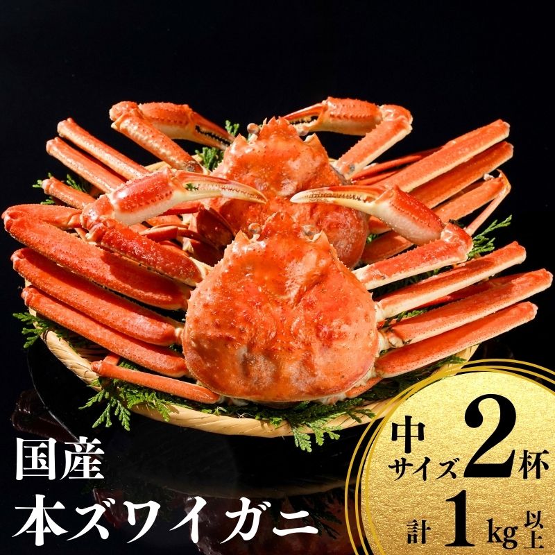 【ふるさと納税】〈先行予約〉本ズワイガニ 500g×2杯 計1kg 【11月中旬以降発送】 姿 浜茹で 国産 鮮度が命！茹でたて直送 日本海 磯貝鮮魚店 ずわいがに かに 蟹 新潟県 糸魚川産 越後産 高級ガニ 厳選 釜茹 お取り寄せギフト カニみそ カニ味噌 ズワイガニ 姿 冷蔵