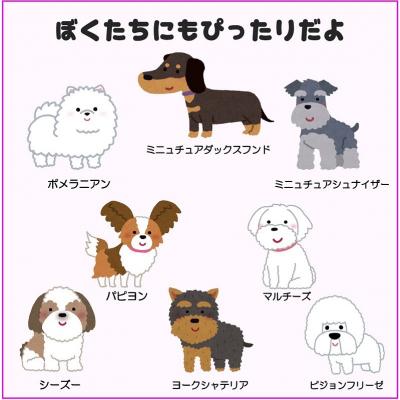 ふるさと納税 荒川区 トイプードル及び小型犬用カラー(首輪)&リード(カラー:紺・赤・紺)【001-004】 |  | 02