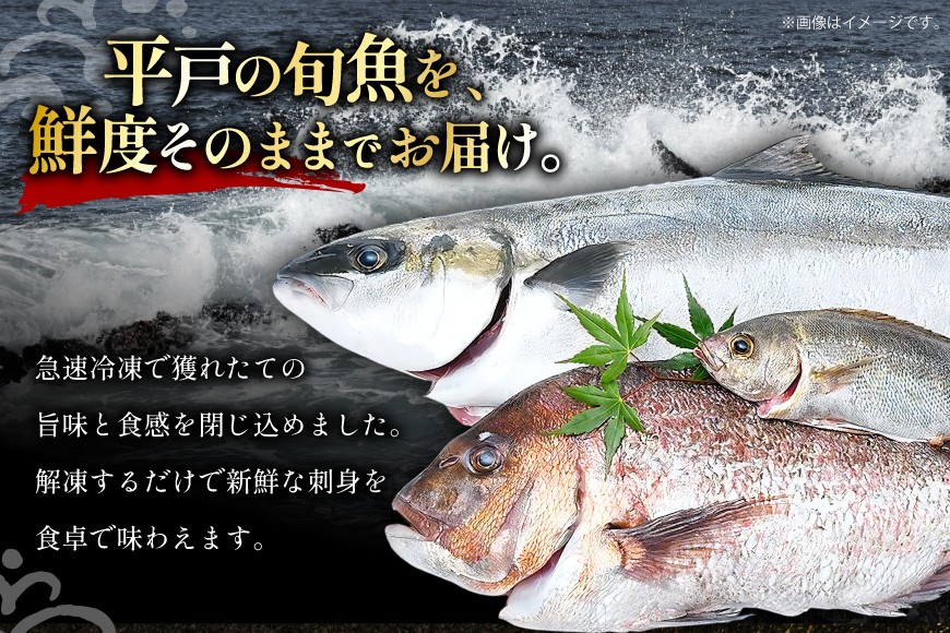 魚 刺身 【8月発送】 3種セット 3人前 各 約150g 総計 約450g  [百旬館 長崎県 平戸市 hr42bhb460009] お刺身 さしみ 鮮魚 詰め合わせ 冷凍 ヒラマサ ヒラス ぶり 