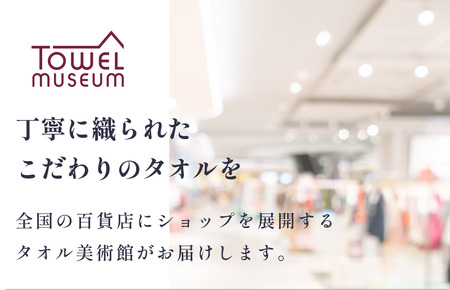 伊予ひめ 晴-はれ-　フェイスタオル2枚セット（ホワイト） タオル美術館 [I001750FT2W]