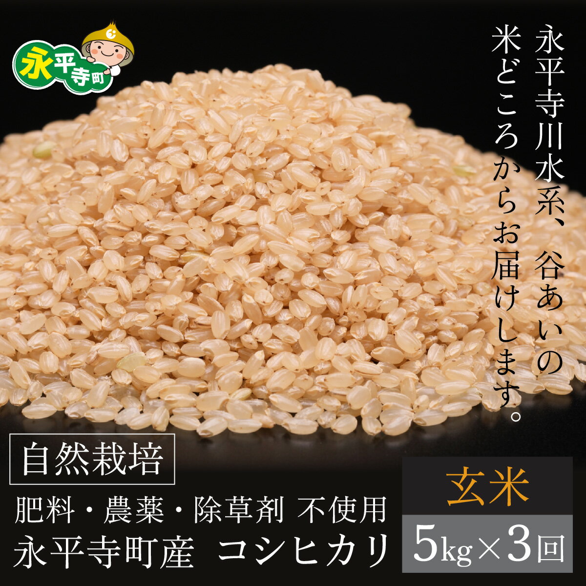 【ふるさと納税】【先行予約】【令和7年産 新米】【3ヶ月定期便】自然栽培米 コシヒカリ 永平寺町市野々産 【玄米】5kgx3ヶ月（計15kg）【11月上旬順次配送予定】 / 定期便 頒布会 ご飯 ごはん 玄米　5kg　3ヶ月　定期便 無農薬 化学肥料 除草剤 不使用 福井県 永平寺