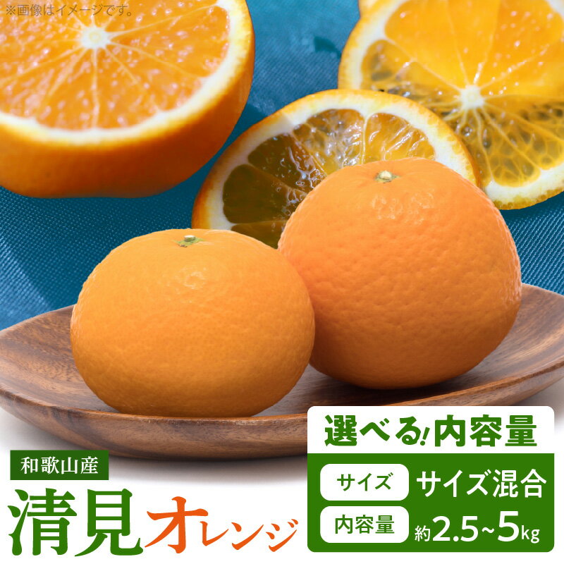 とにかくジューシー 清見 オレンジ 5kg【清見 みかん タンゴール きよみ】